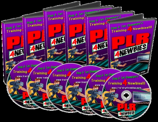 Product picture PLR4Newbies-step-by-step guidance-unique way to earn more!